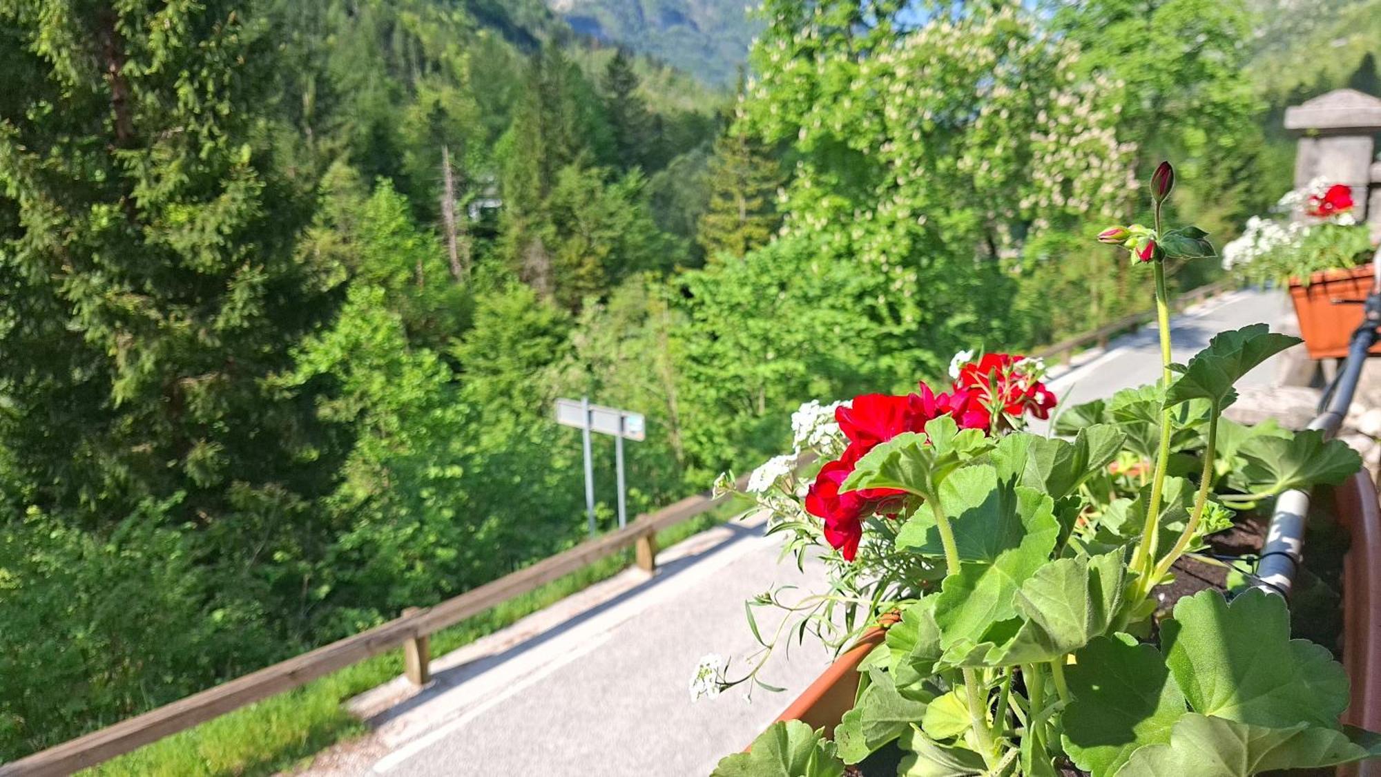 Gostisce Andrejc Hotel Soča Buitenkant foto